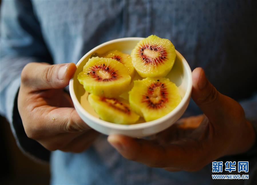 （經濟）（4）江西廬山：產業(yè)扶貧促增收