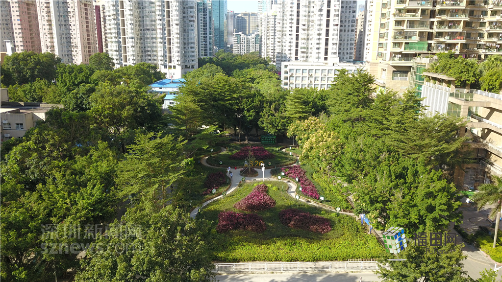  鵬城眼|我的實事我做主！5年辦理“民生微實事”6774件}